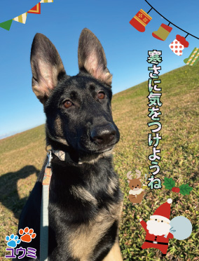 年末の挨拶_寒さに気をつけようね