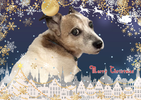 クリスマスの挨拶竜之介